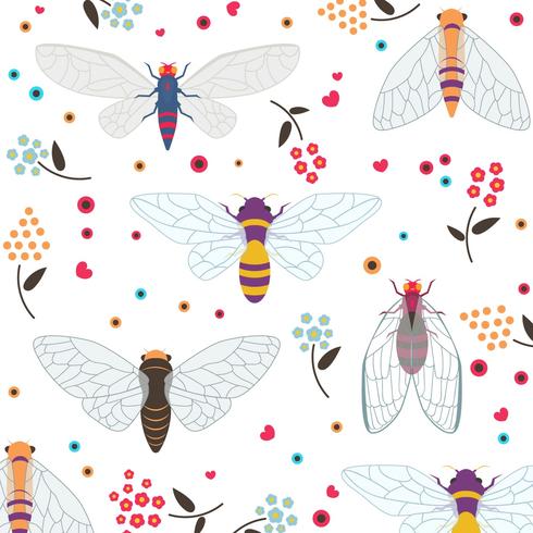 Set Of Colorful Cicada  vector