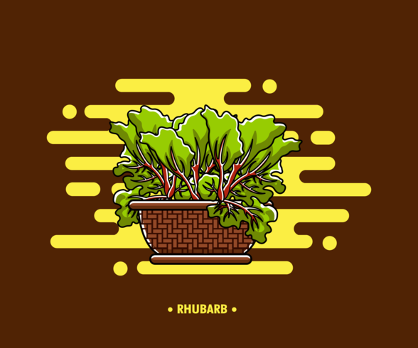 Rhubarb Vector