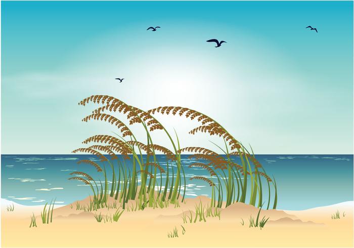 Sea oats beach vector illustration