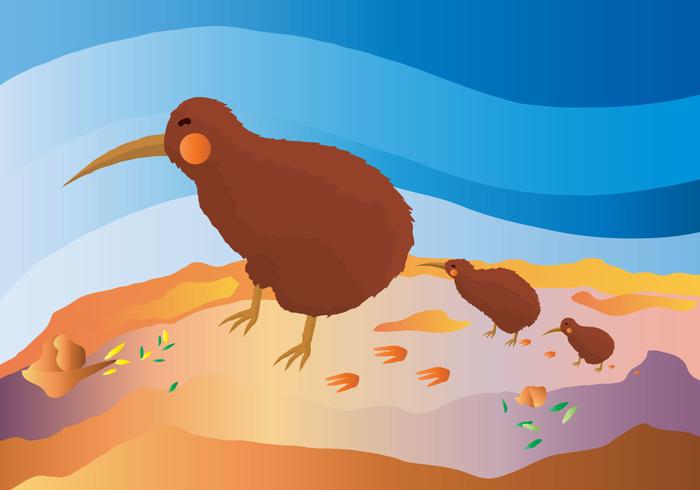 Free Kiwi Bird Vector Illustration