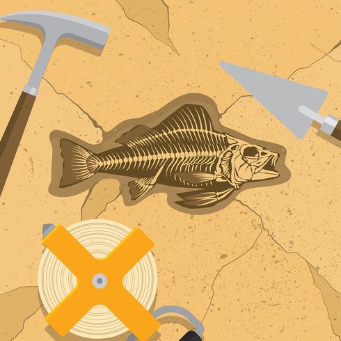 Fósiles de espina de pescado Arqueólogo Vector libre