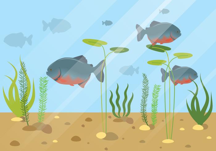 Ilustración de animal acuático de pez piraña vector