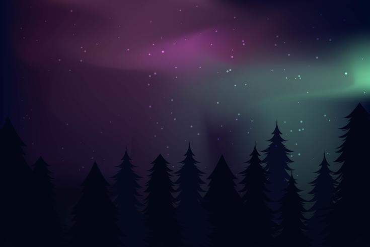 Northern Lights Landscape Vectors