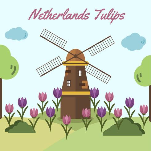 Netherlands Tulip Vector