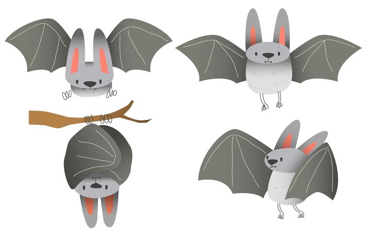 Cute Bat Character Vector Illustration