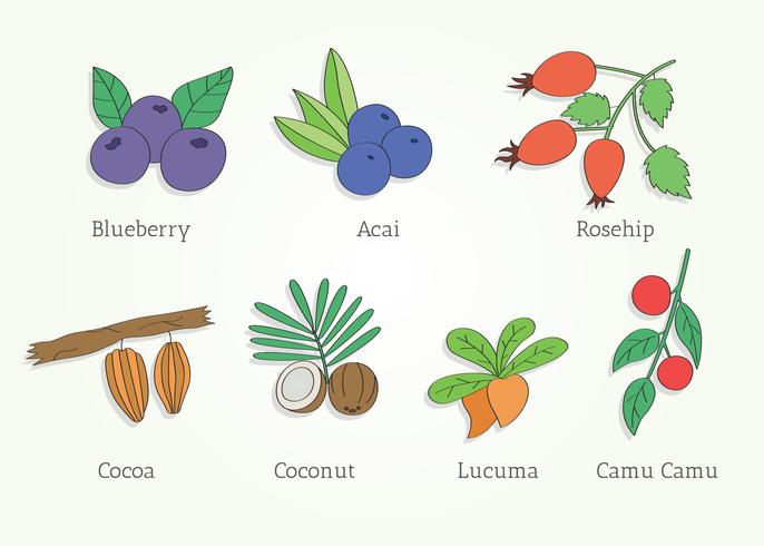 vector de súper alimentos