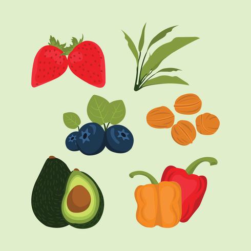 Super Food Icons vector