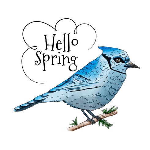 Blue Bird Over Branch With Quote vector