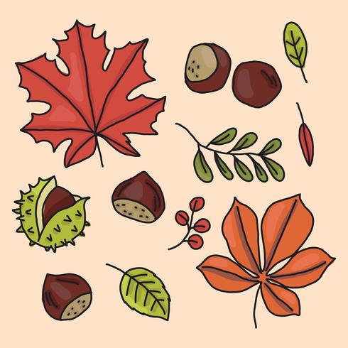 Doodled Design Leaves vector