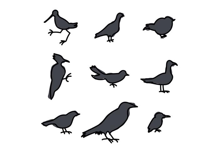 Siluetas de pájaros vector