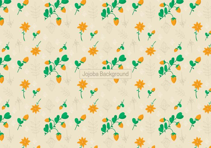 Jojoba Background vector