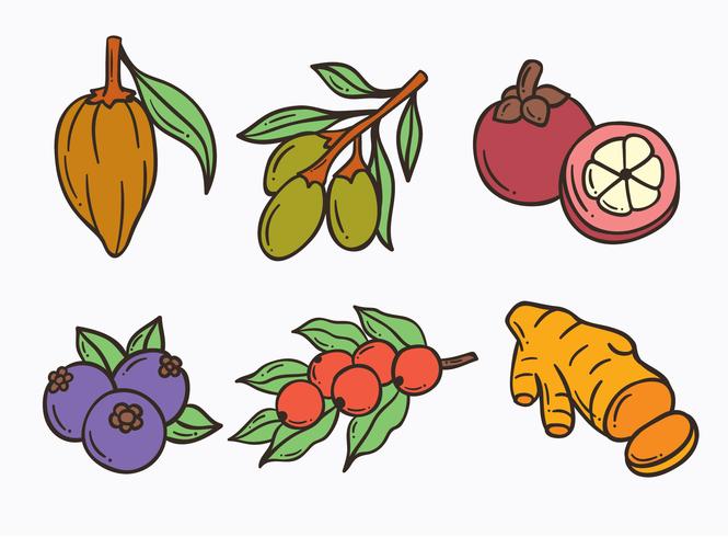 Hand Drawn Super Foods Vector 