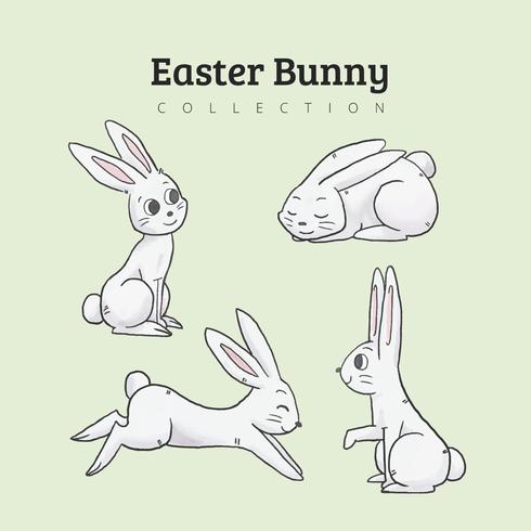 Cute Bunny Character Collection vector