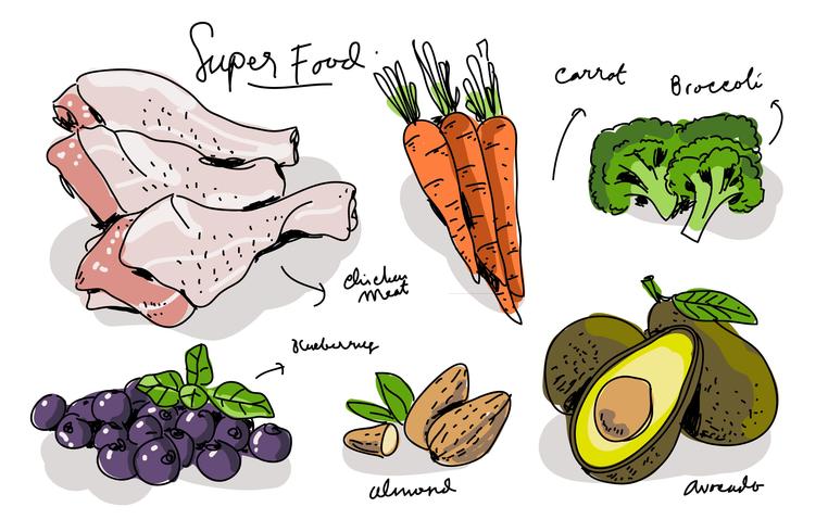 alimentos súper ilustración de vector dibujado a mano