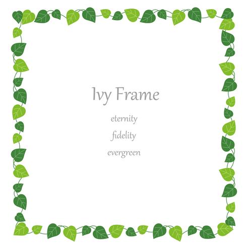 Square ivy frame. vector