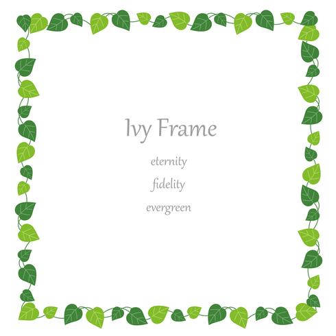 Square ivy frame. vector