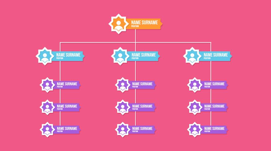 Organogram Chart Vector