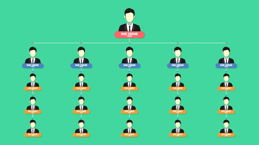 Business Organogram Chart Free Vector