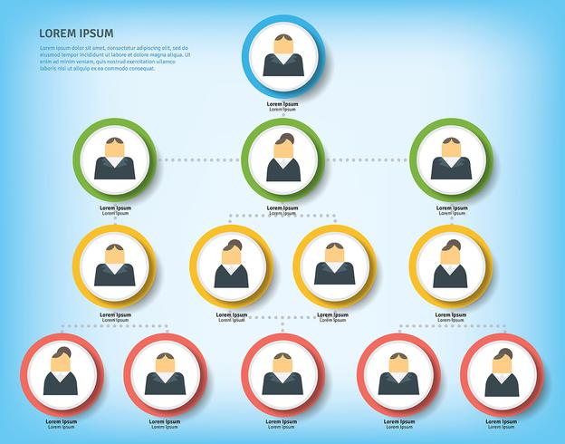 Business Organogram vector