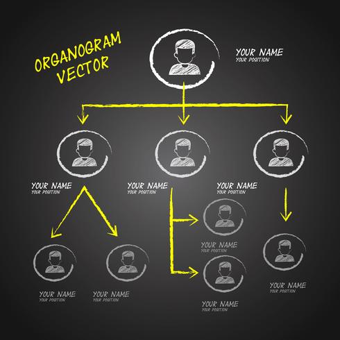 diseño de vector de pizarra organogram