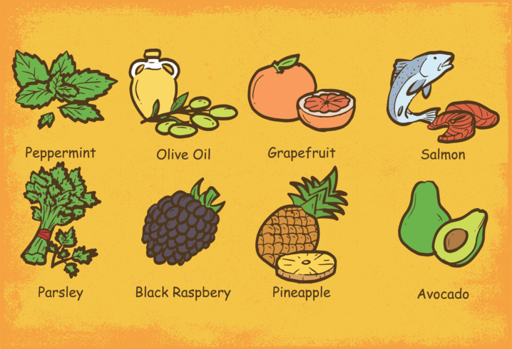 Super Foods vector