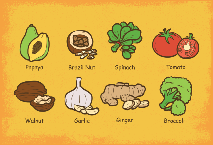 Super Foods vector