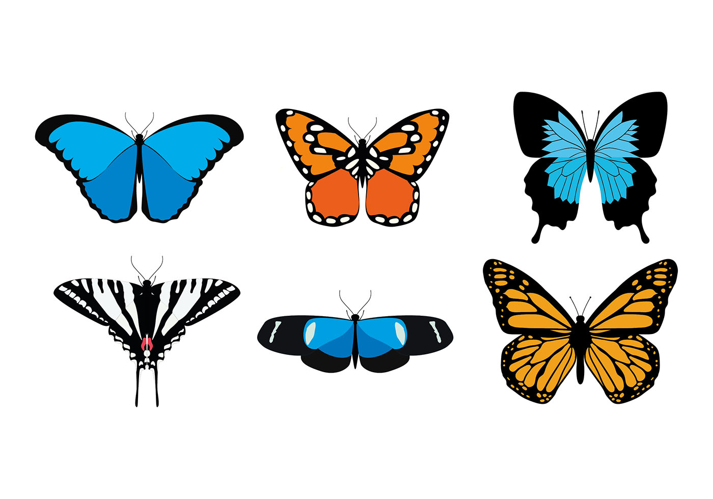 Download Butterfly Various Species Free Vector - Download Free ...