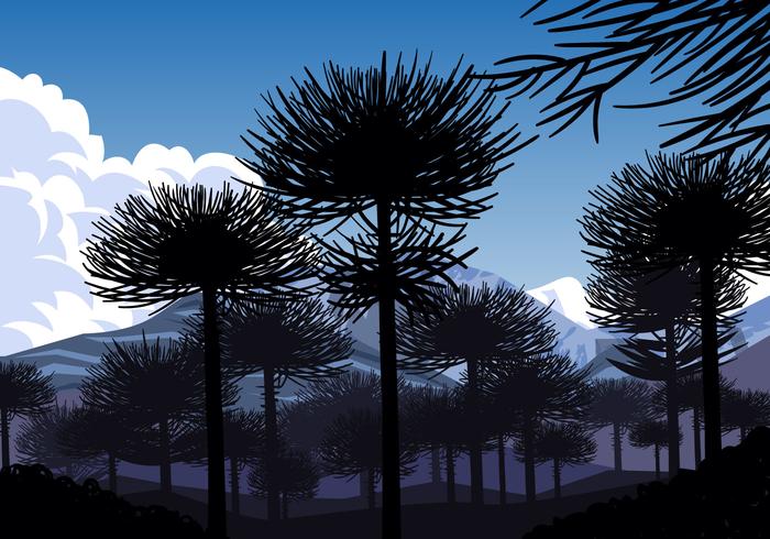 Silhouette Of Araucaria vector