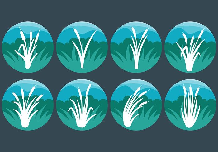 Free Cattails Icon Vector