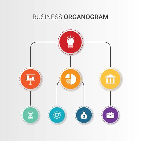 Organograma de negocios vector