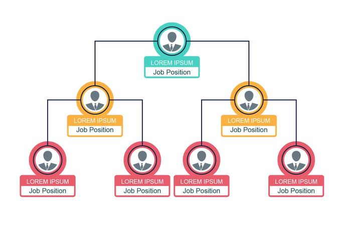 Gráfico de organograma empresarial vector