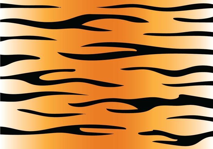 Tiger Stripe Pattern vector