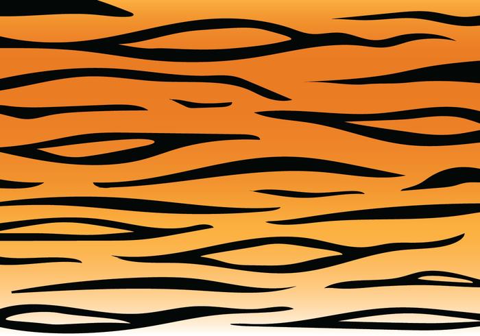 Tiger Stripe Pattern vector