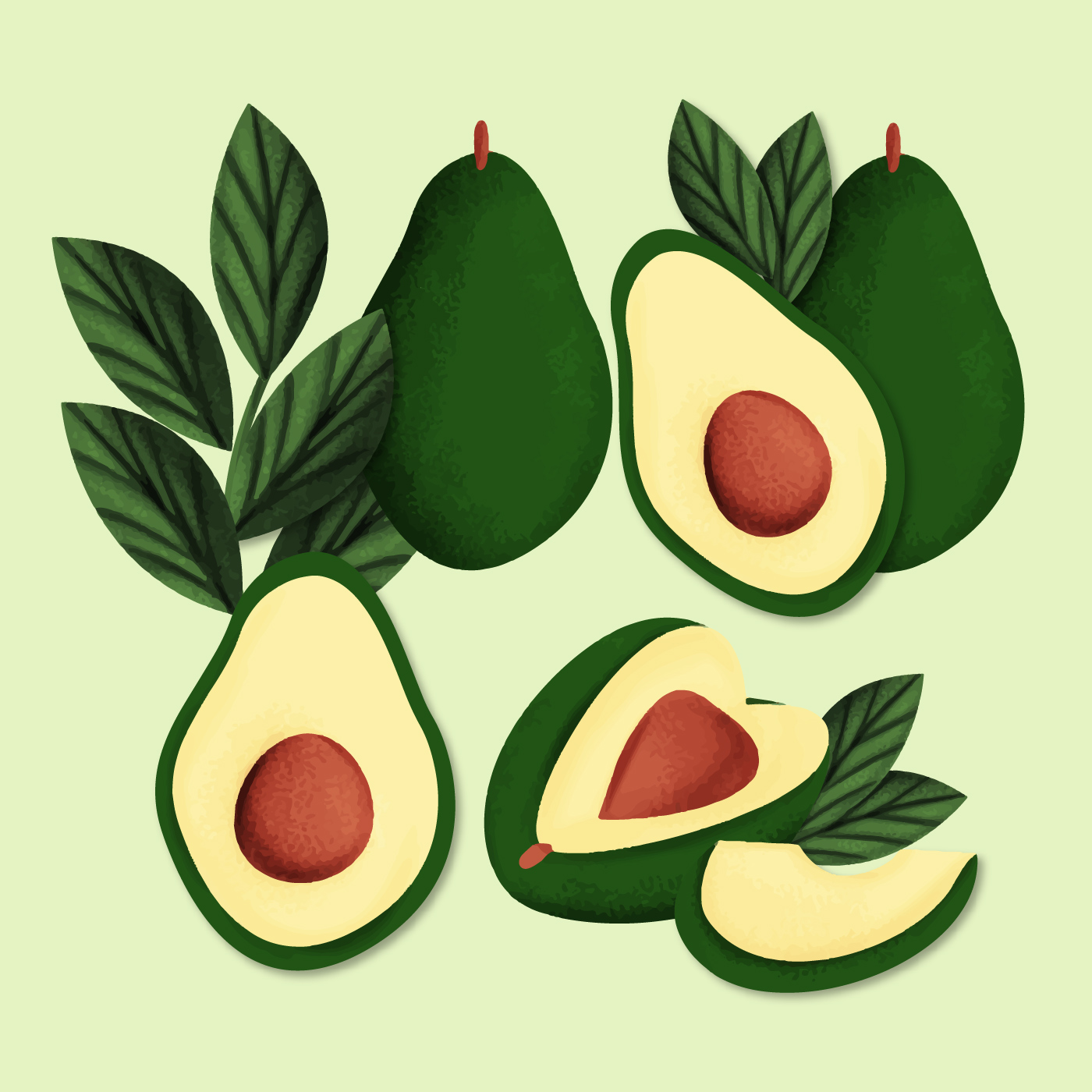 Download Vector Hand Drawn Avocados 183440 Vector Art at Vecteezy