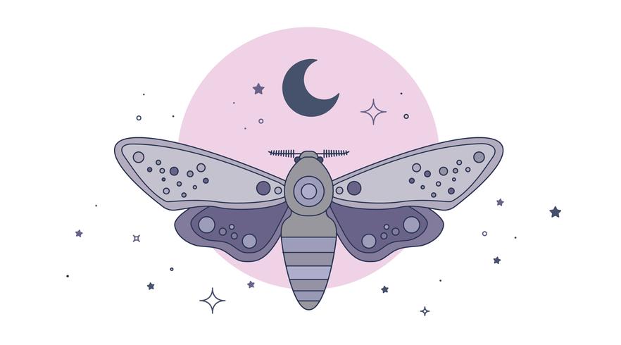 Moth Vector