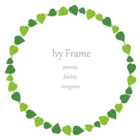 Circular ivy frame. vector