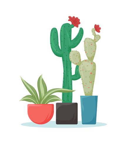 Unique Succulents Vectors