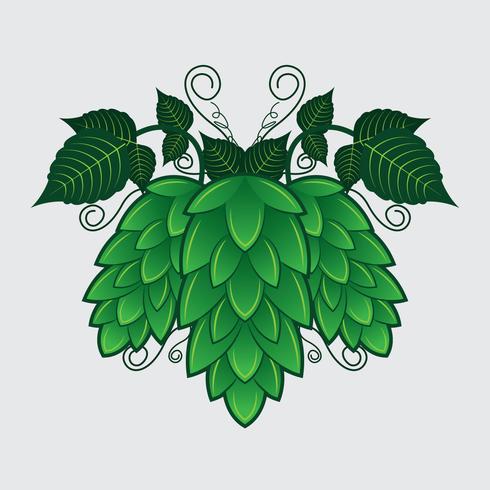 Hop Plant Vector Illustration