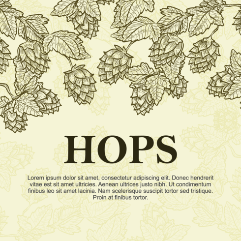 Hop Plant Background vector