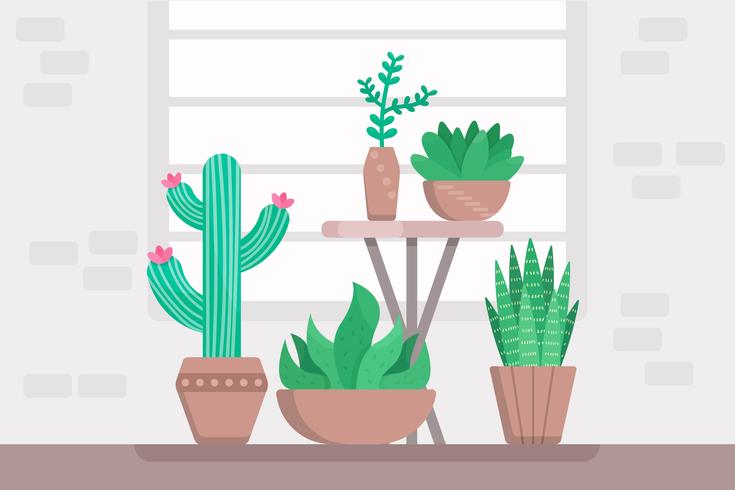 Succulents Vectors
