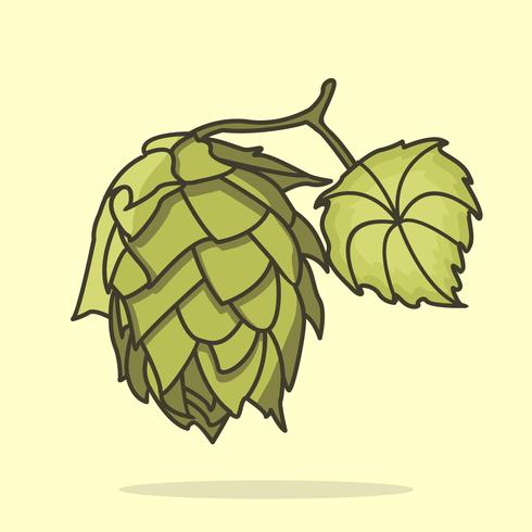 Flat Hop Plant Illustration vector