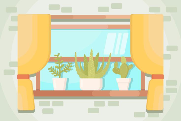 Succulents Vectors