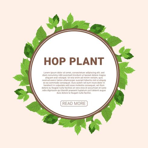 Hop Plant Vector Illustration