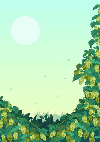 Hop Plant Backgound vector