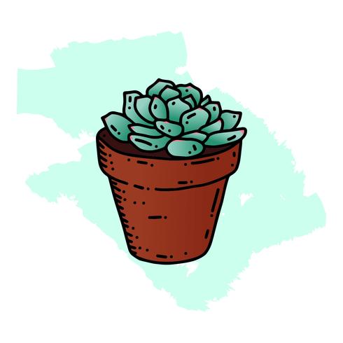 Succulents hand drawn style vector