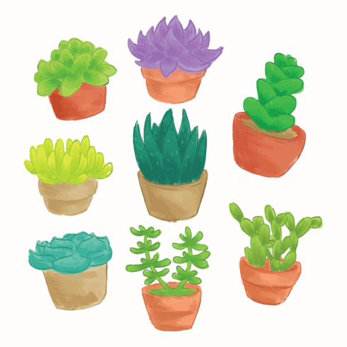 Succulents Watercolor vector