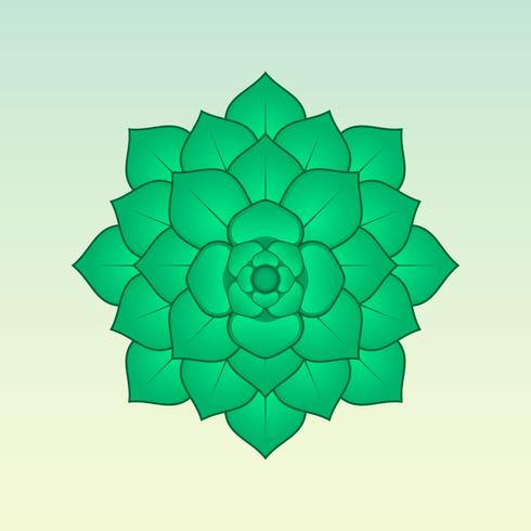 Green Succulent Plant Illustration vector