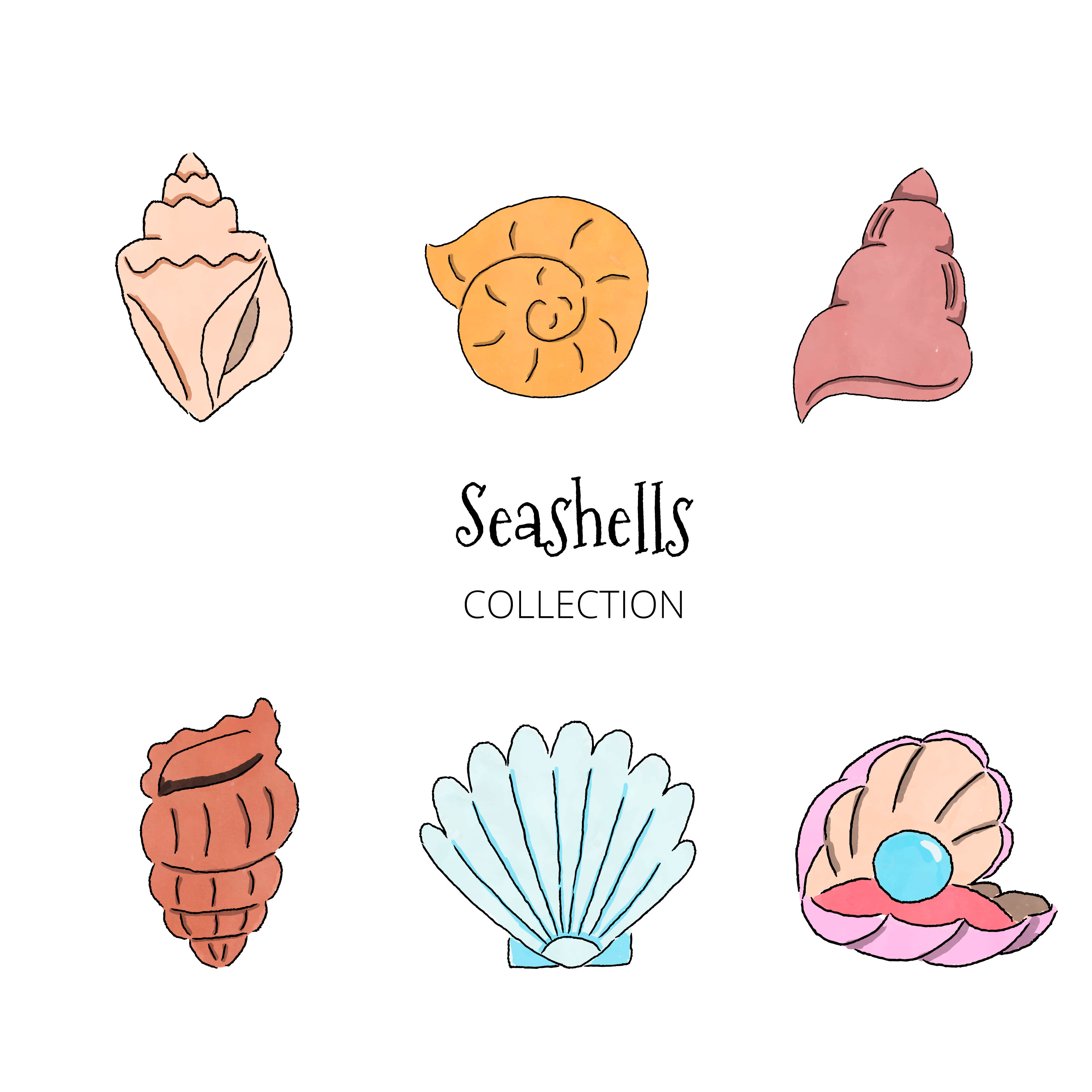 Seashells Collection 191224 Vector Art at Vecteezy