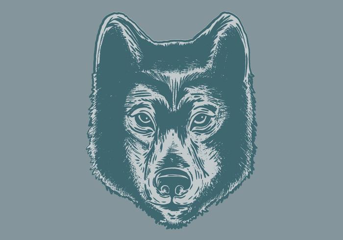 wolf head portrait vector