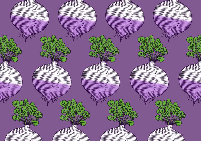 retro turnip pattern vector